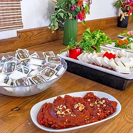 Costa Viva Bodrum 호텔 검벳